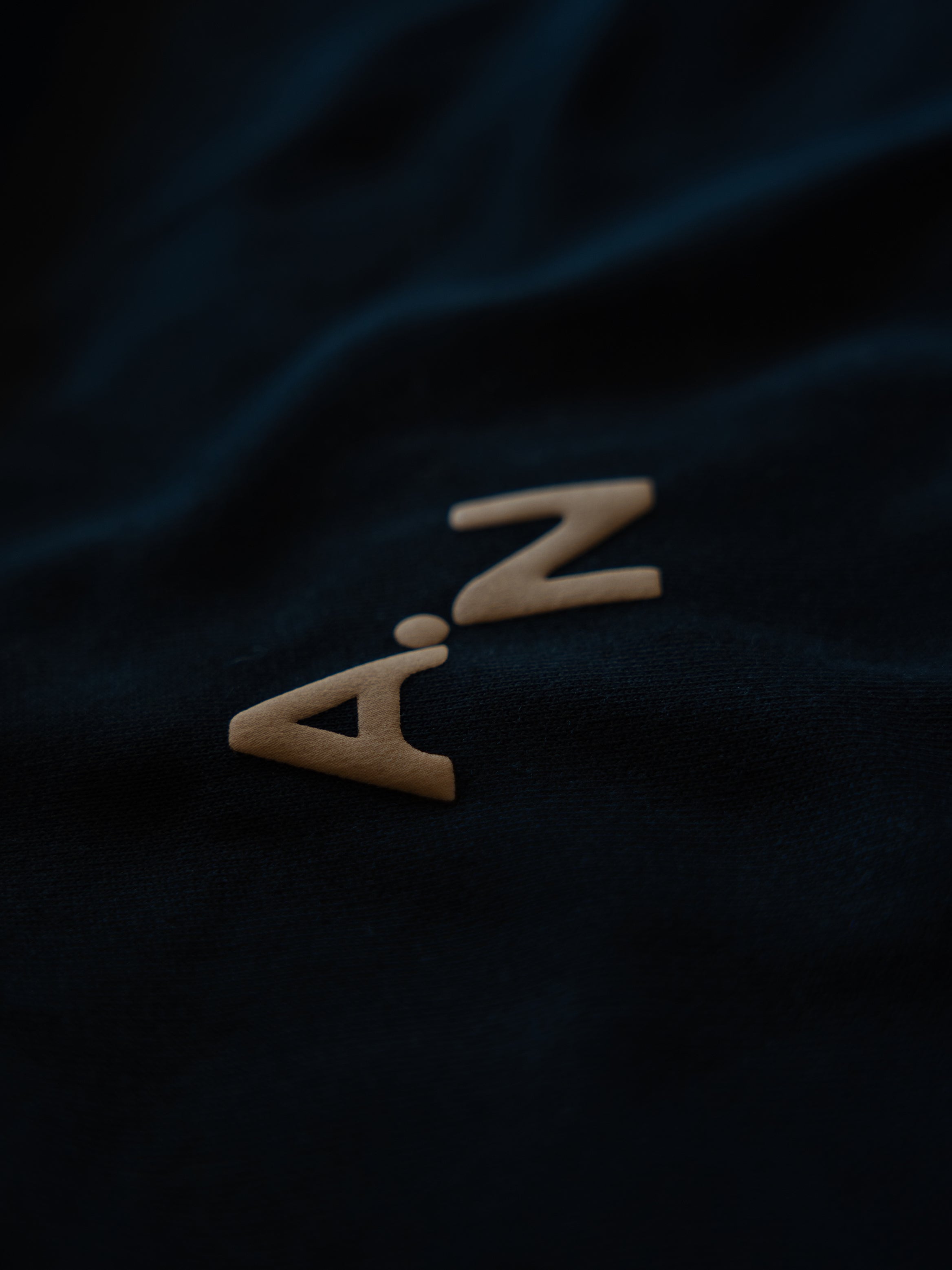 101 - LEGACY OVERSIZE HOODIES